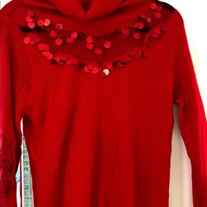 NWOT Beautiful embroidered turtleneck sweater.